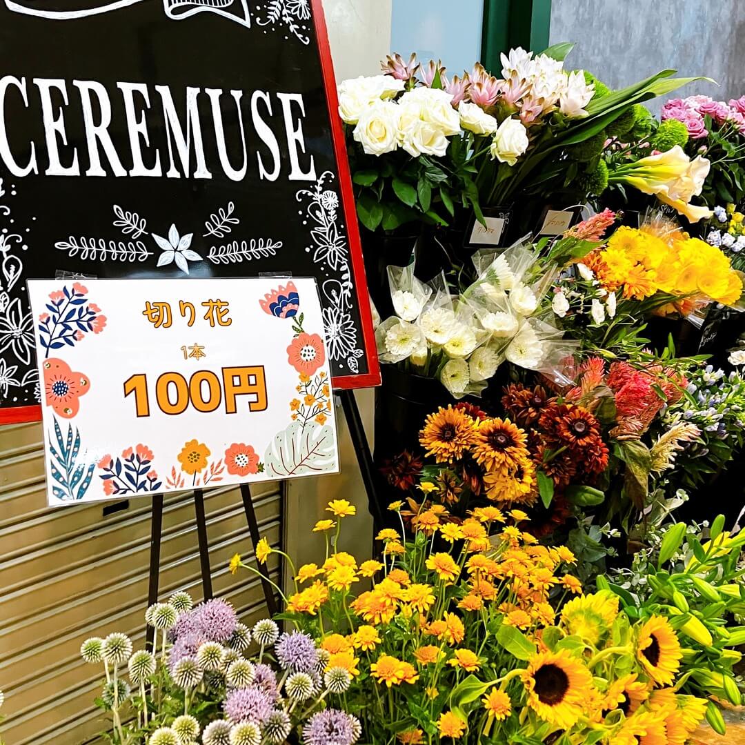 切り花100円